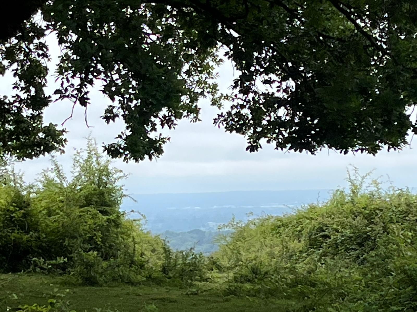 View south near Marjory Lane